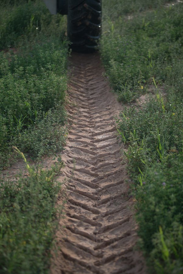 tire track