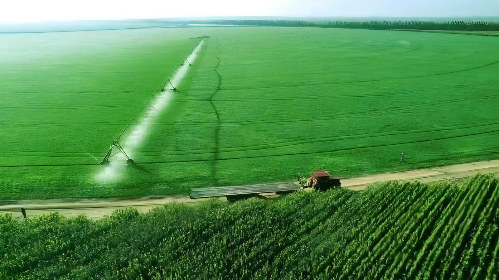 Aqualine Linear Sprinkler